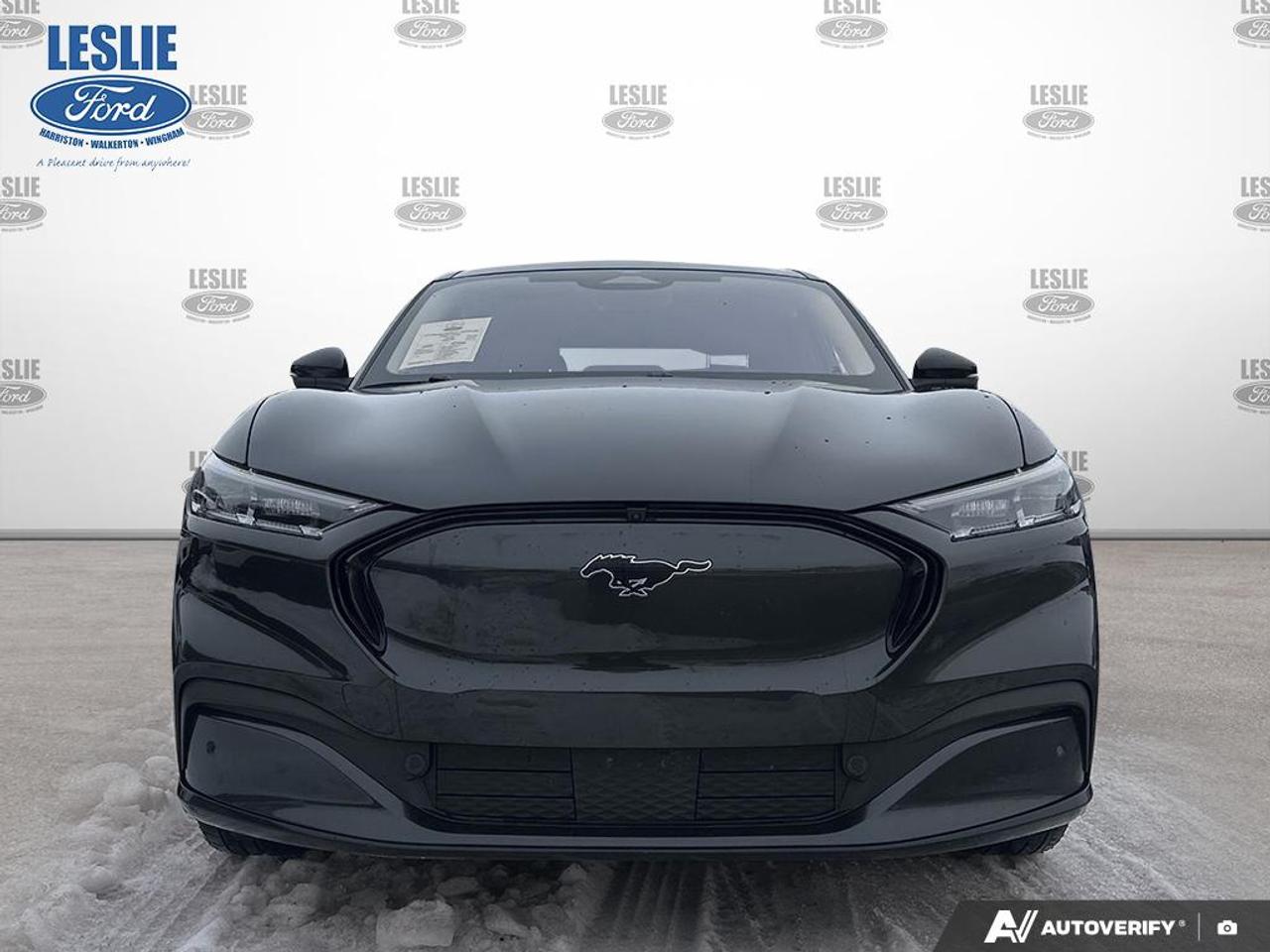 2021 Ford Mustang Mach-E Premium AWD Photo