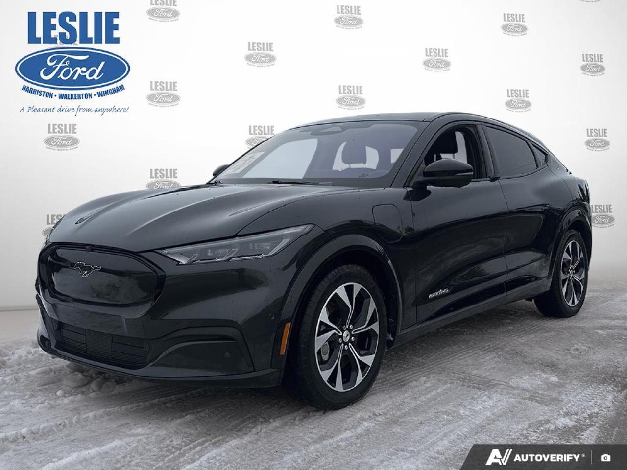 2021 Ford Mustang Mach-E Premium AWD Photo0