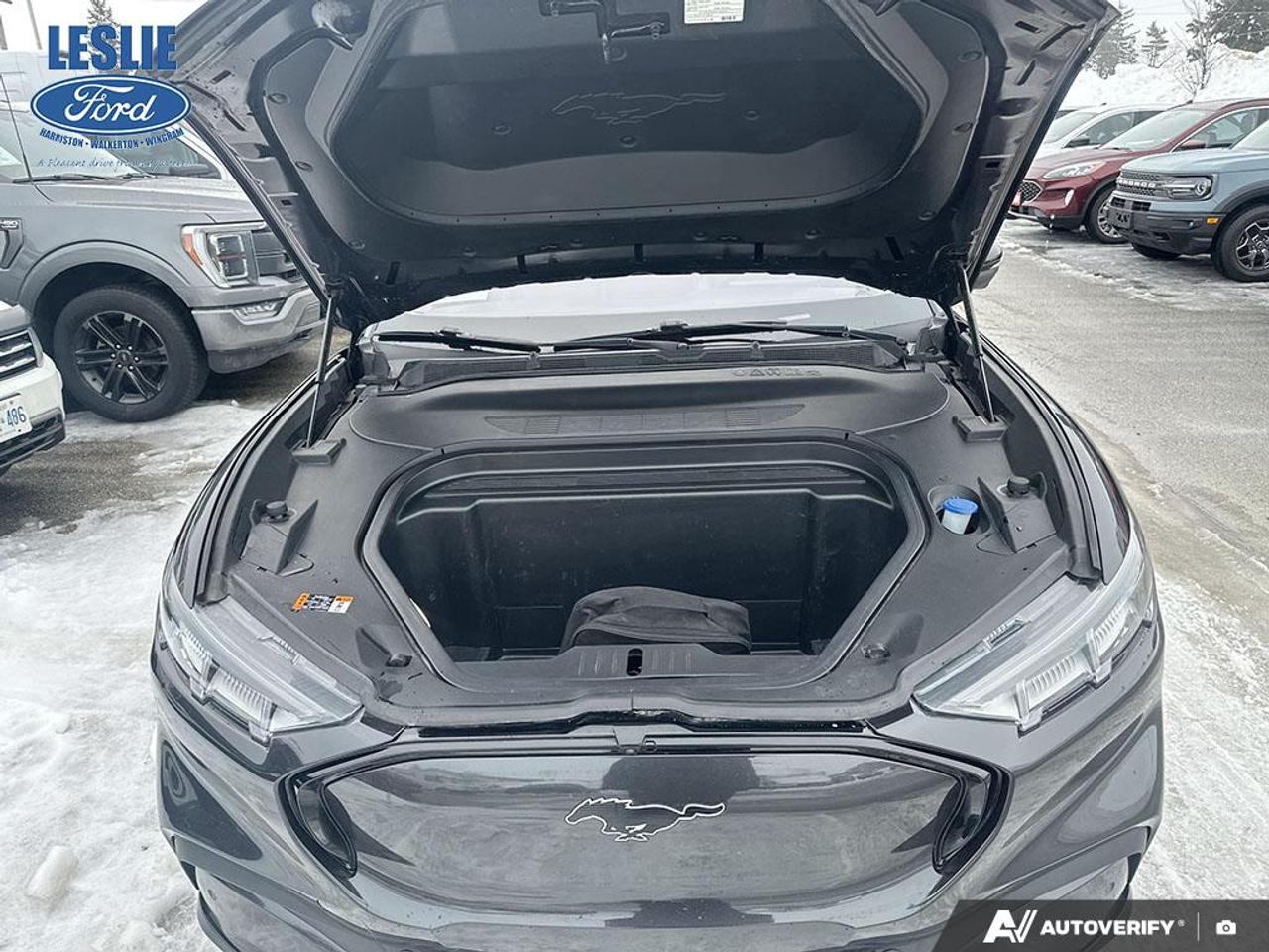 2021 Ford Mustang Mach-E Premium AWD Photo