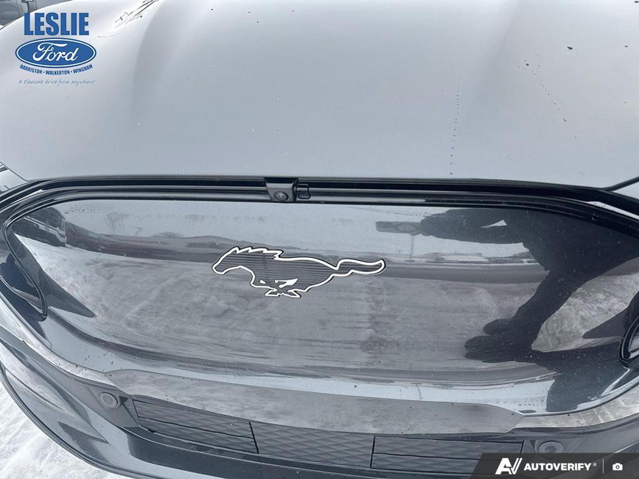 2021 Ford Mustang Mach-E Premium AWD Photo