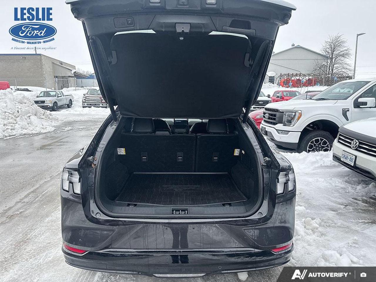 2021 Ford Mustang Mach-E Premium AWD Photo