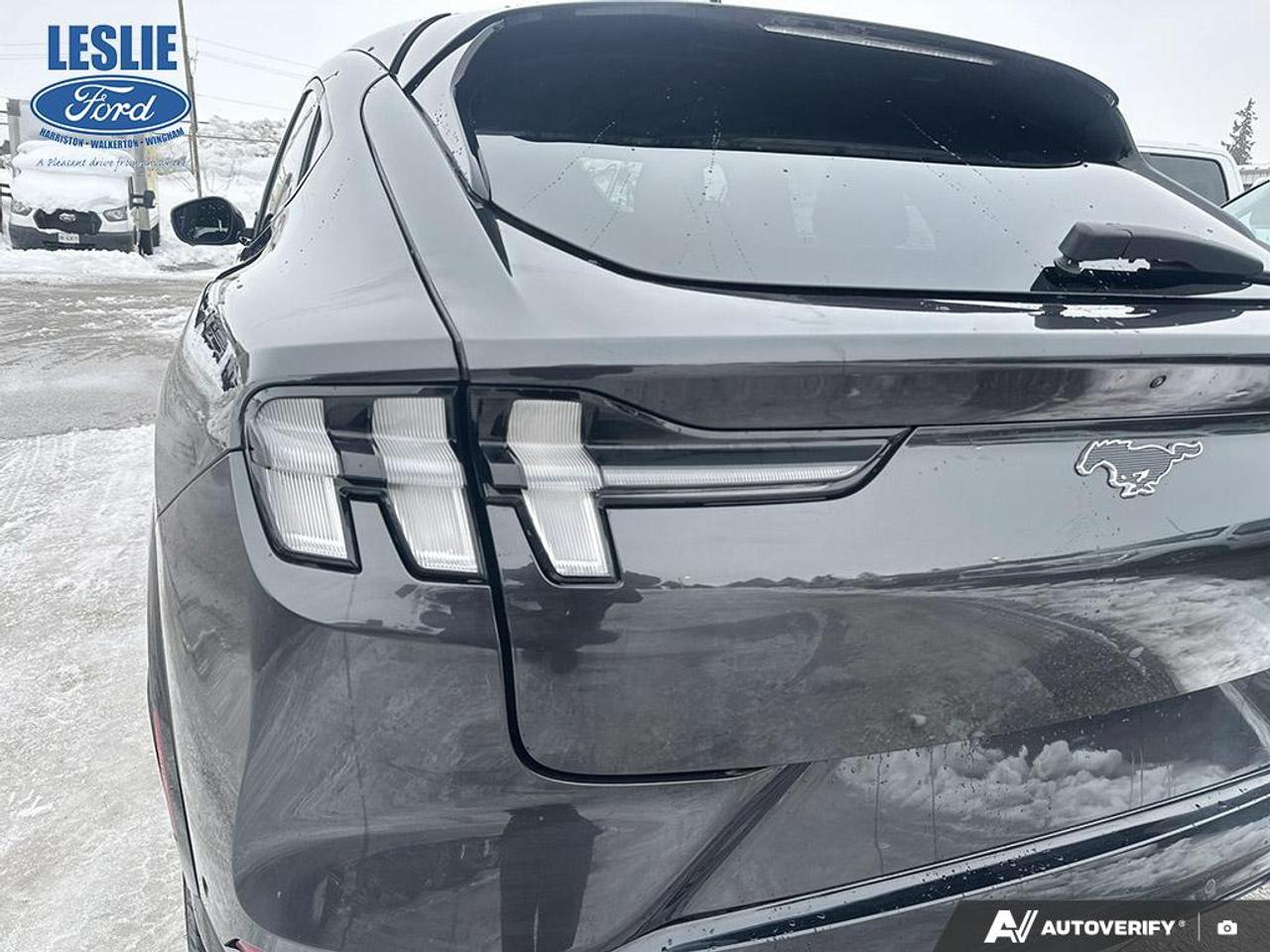 2021 Ford Mustang Mach-E Premium AWD Photo