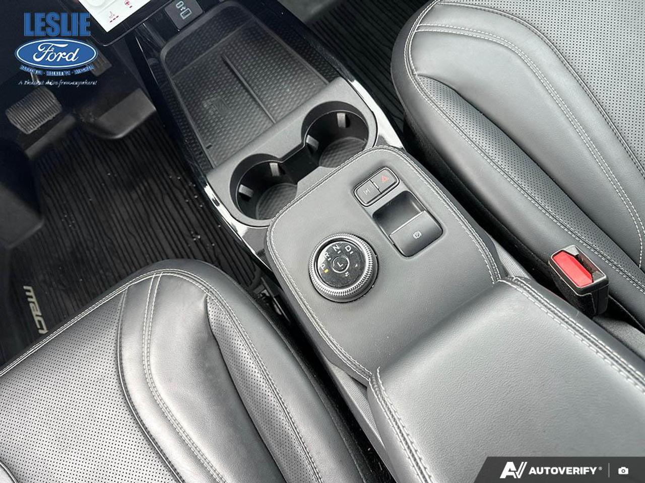 2021 Ford Mustang Mach-E Premium AWD Photo