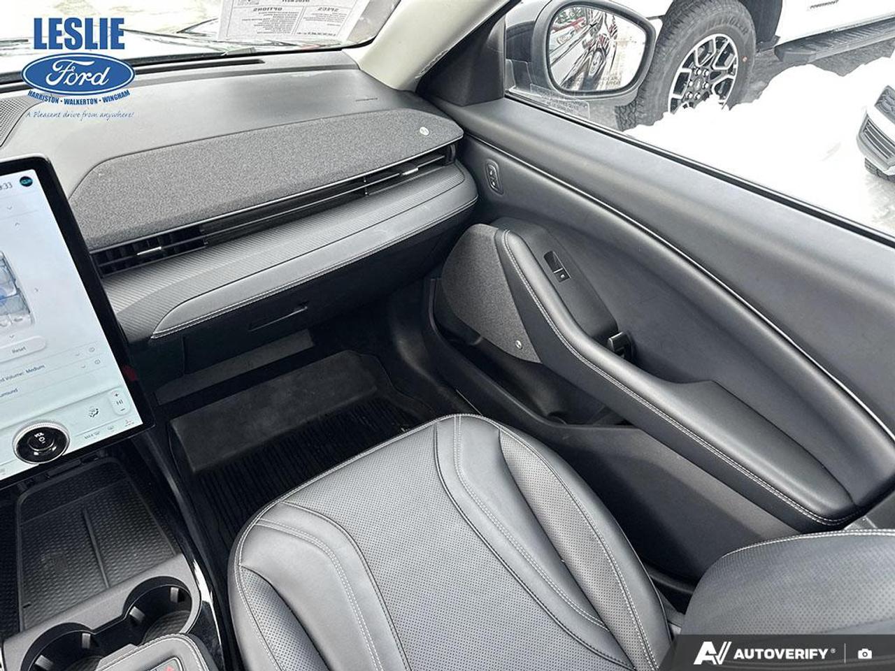 2021 Ford Mustang Mach-E Premium AWD Photo