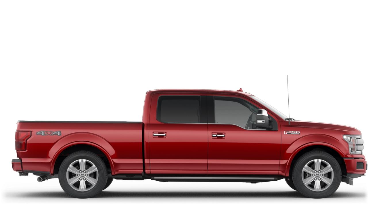 2020 Ford F-150  Photo4
