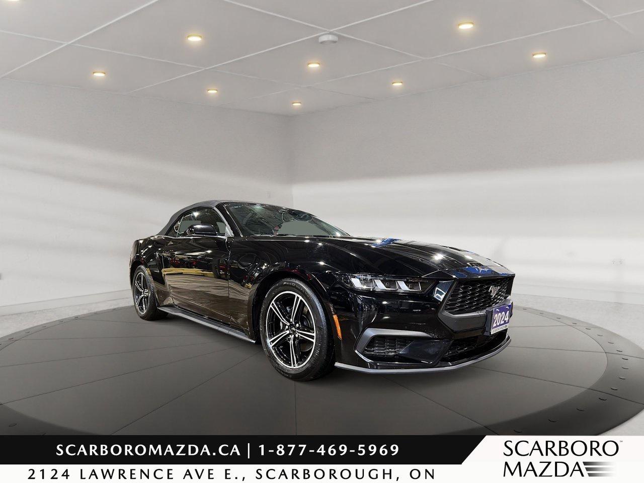 2024 Ford Mustang EcoBoost Premium Photo0