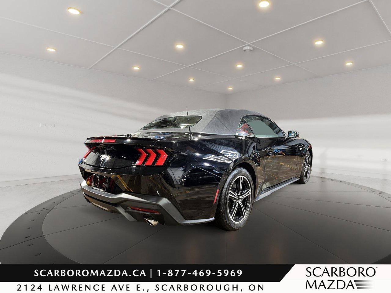 2024 Ford Mustang EcoBoost Premium Photo