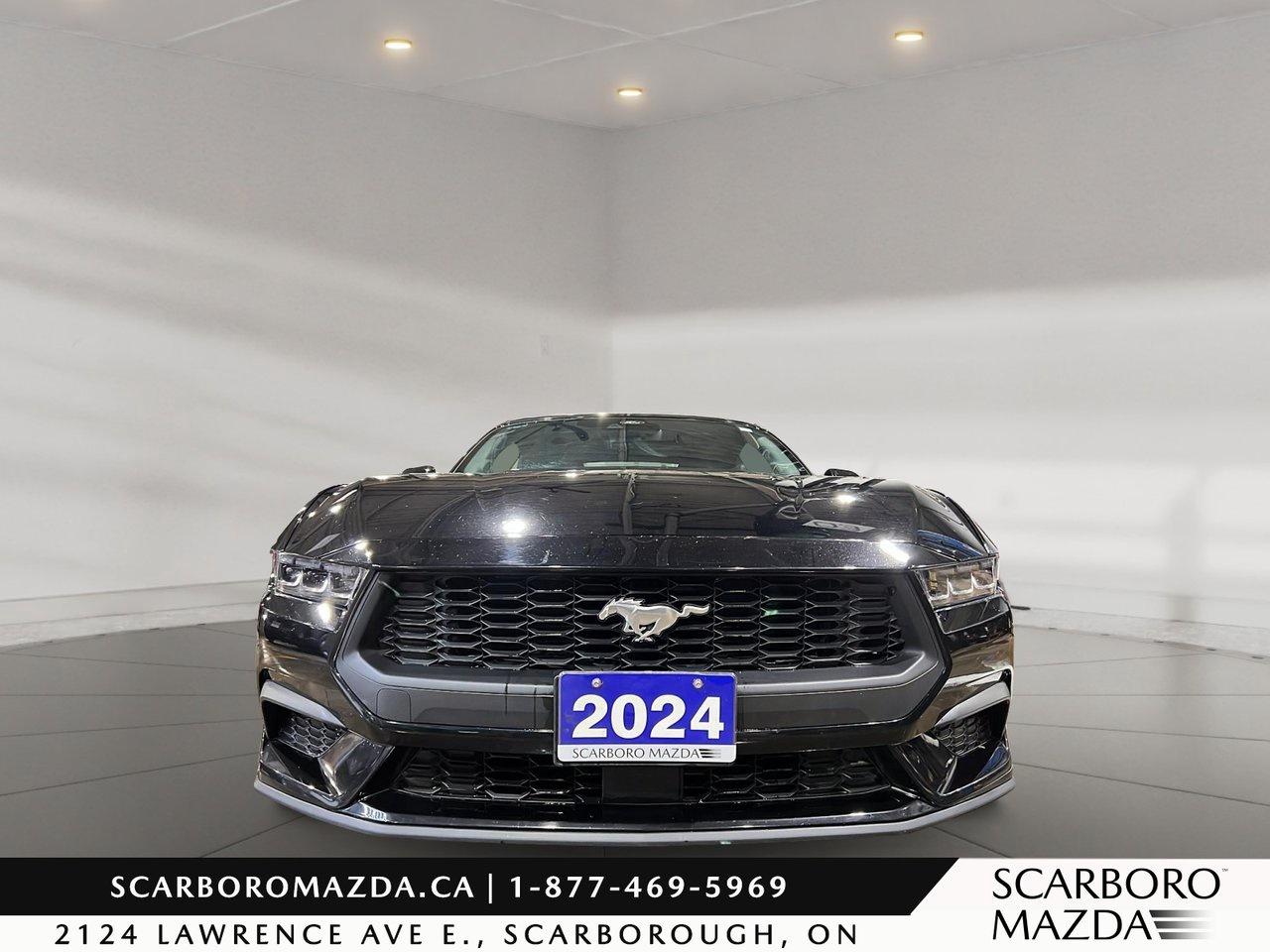 2024 Ford Mustang EcoBoost Premium Photo