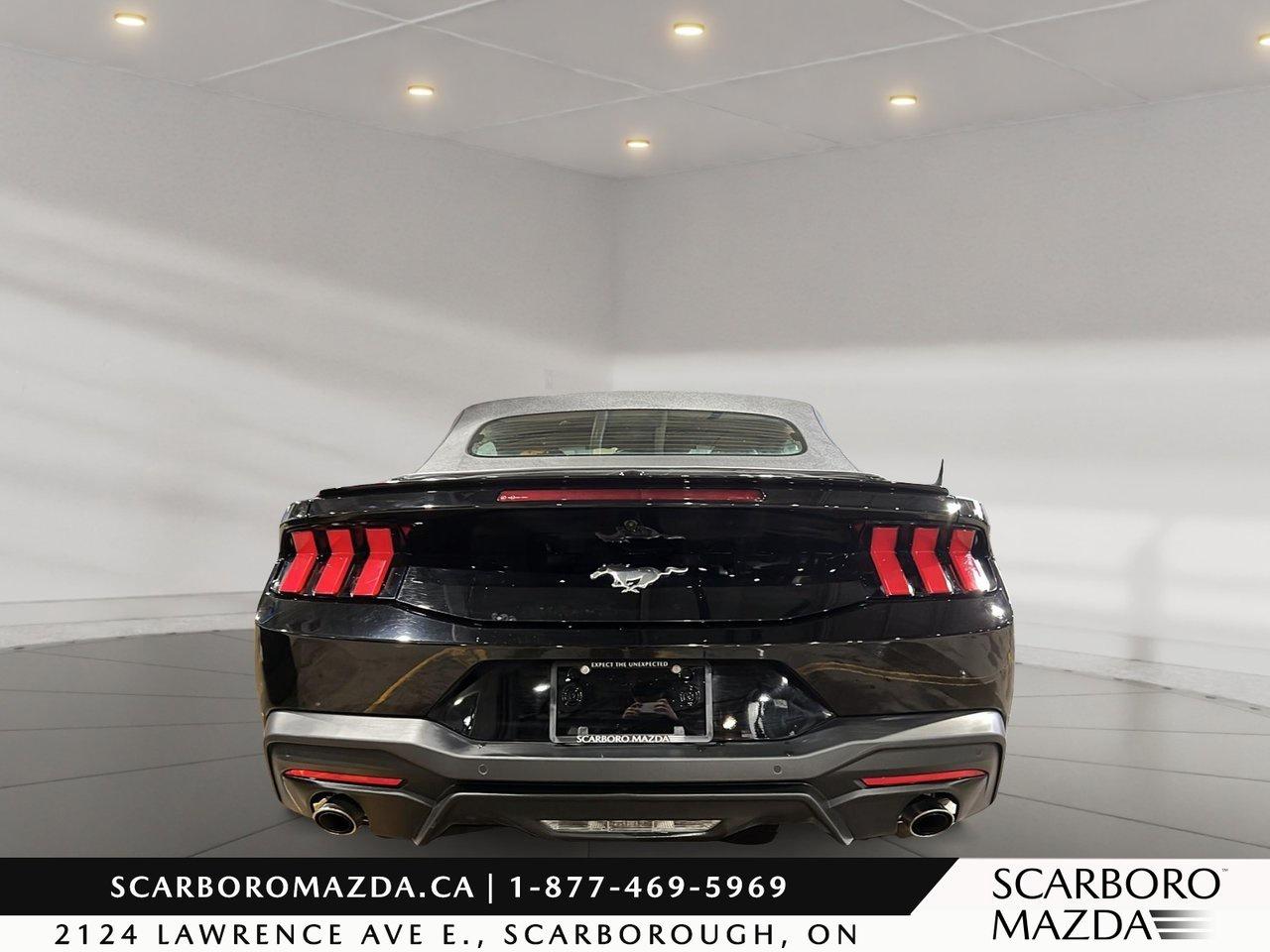 2024 Ford Mustang EcoBoost Premium Photo