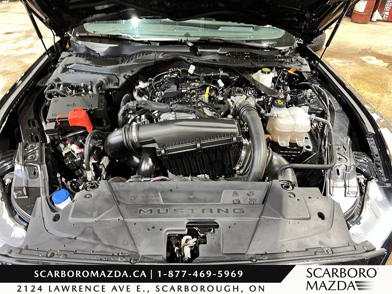 2024 Ford Mustang EcoBoost Premium Photo