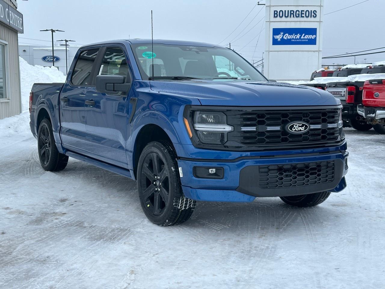 2025 Ford F-150 STX 4WD SuperCrew 5.5' Box Photo