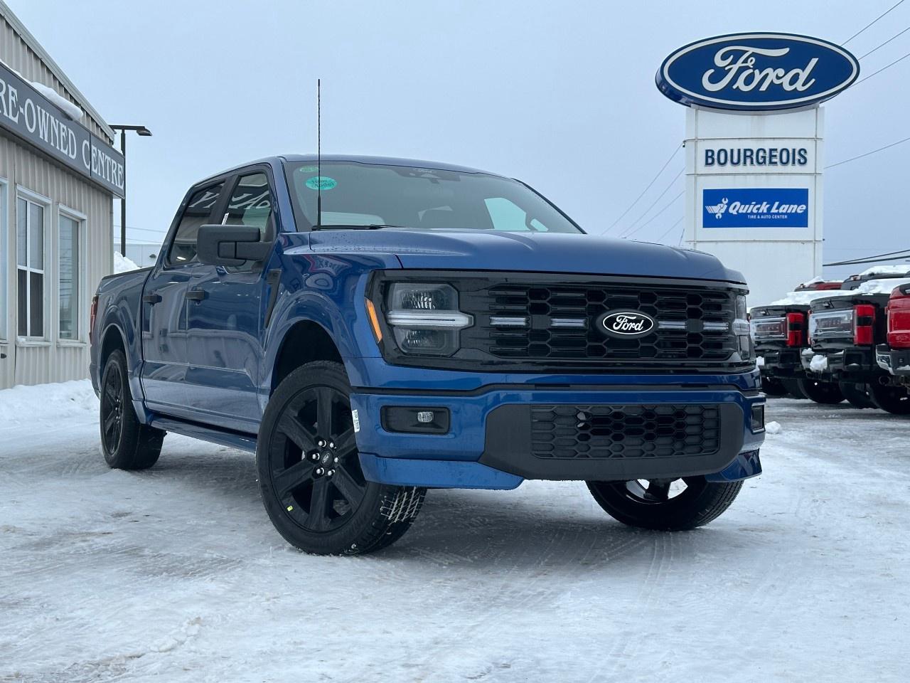 2025 Ford F-150 STX 4WD SuperCrew 5.5' Box Photo0