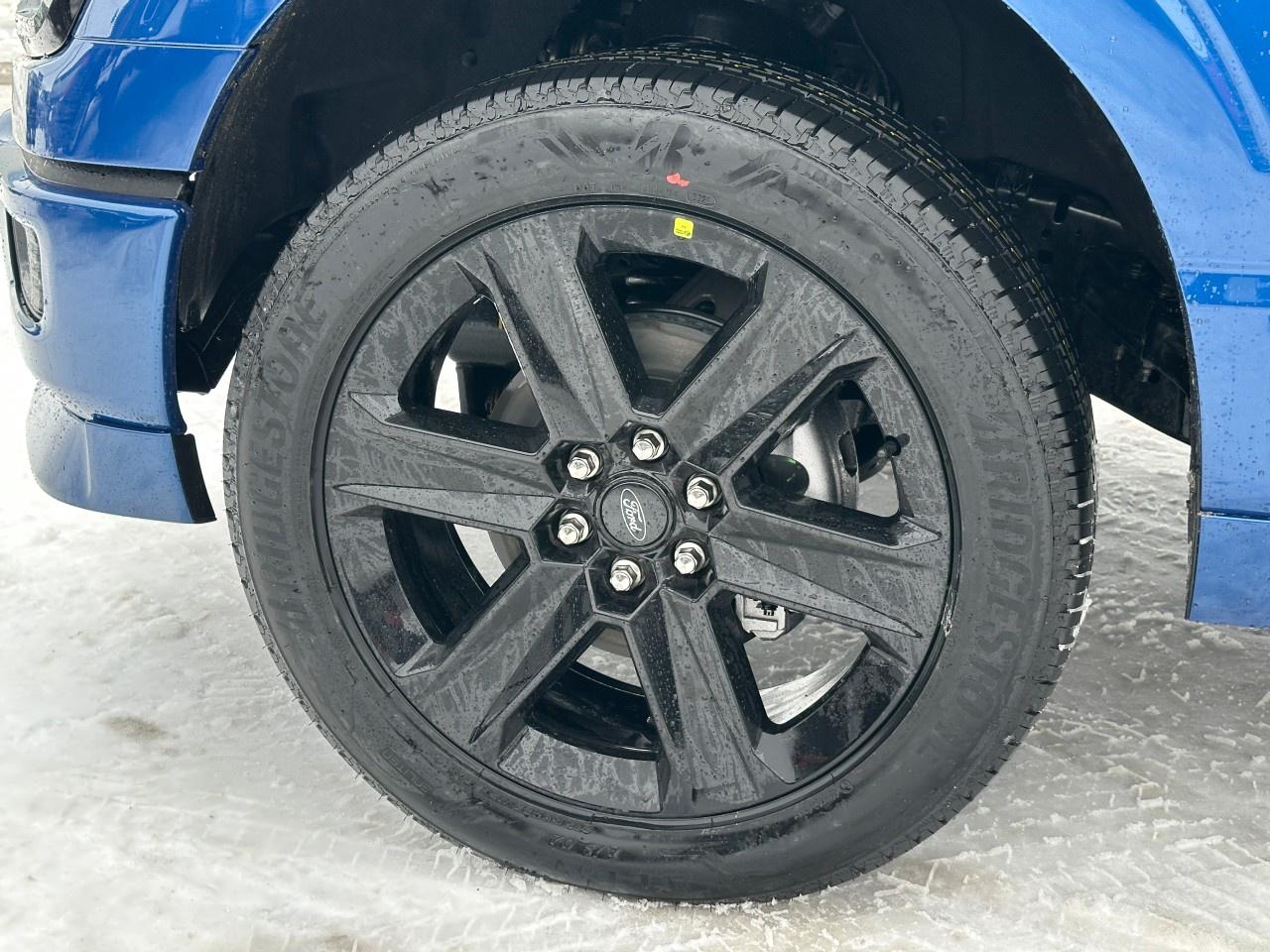 2025 Ford F-150 STX 4WD SuperCrew 5.5' Box Photo