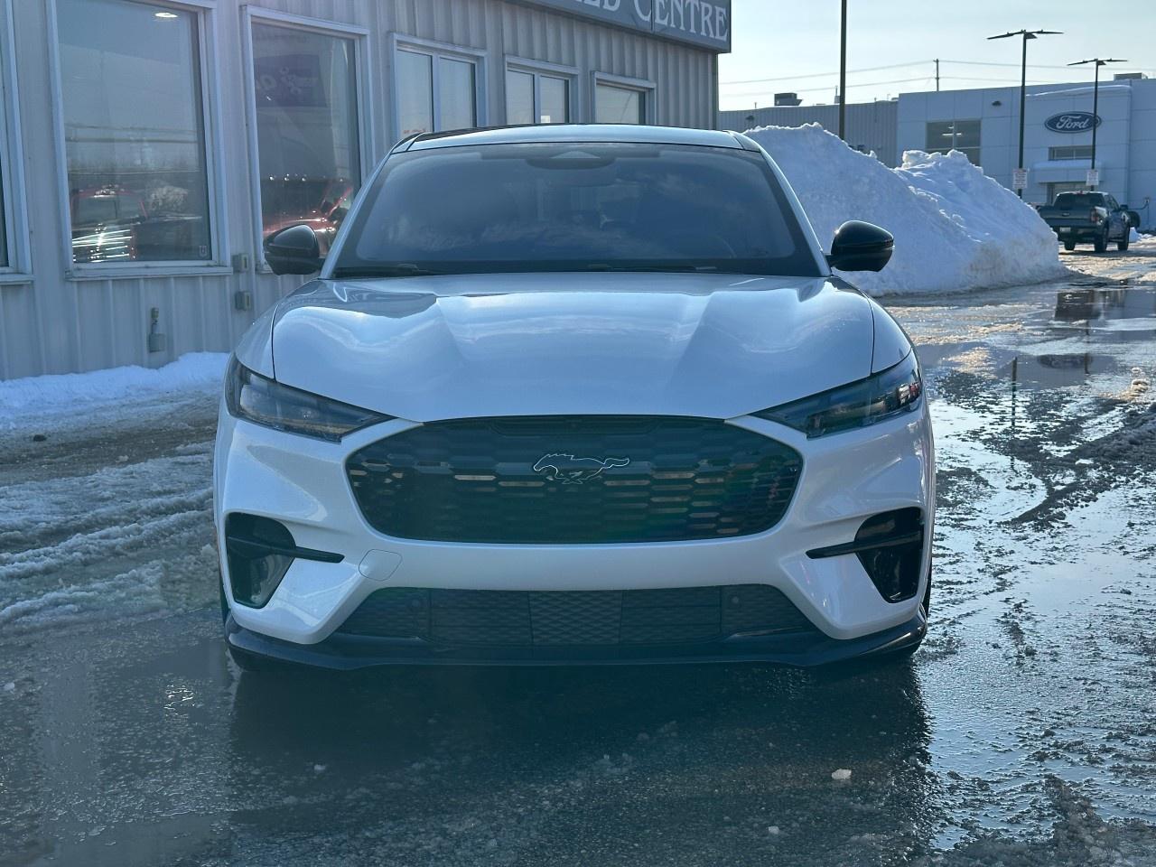 2025 Ford Mustang Mach-E GT AWD Photo2