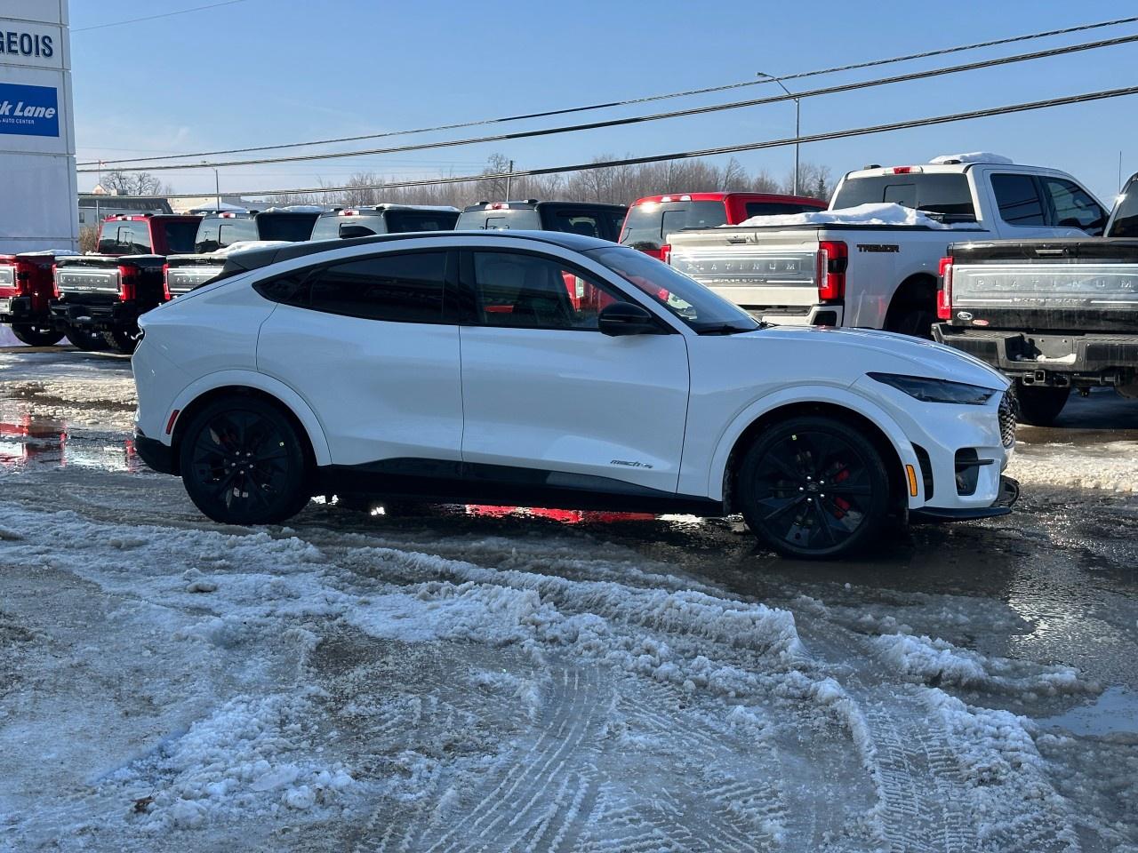 2025 Ford Mustang Mach-E GT AWD Photo4