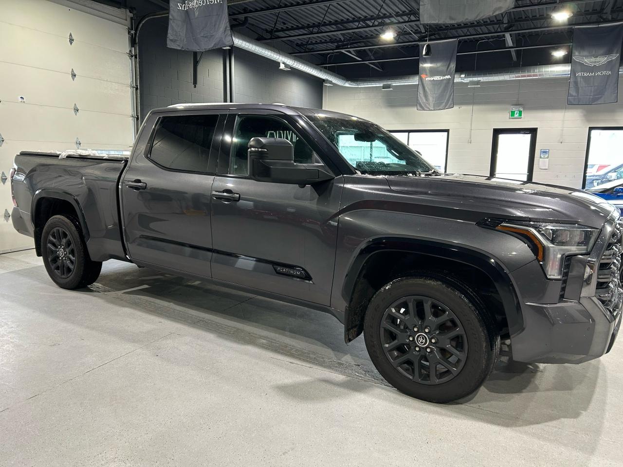 2022 Toyota Tundra Platinum Photo