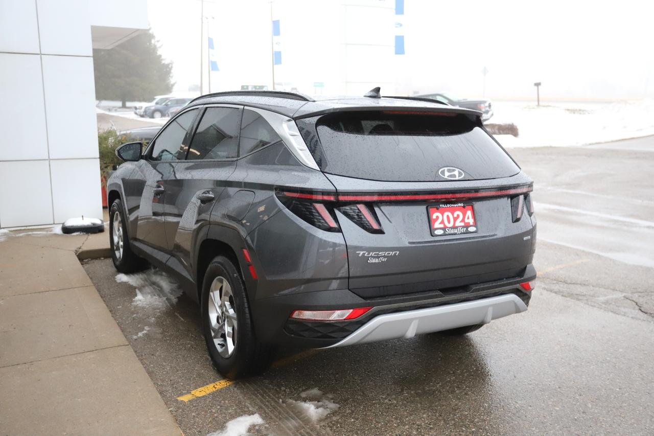 2024 Hyundai Tucson TREND AWD Photo