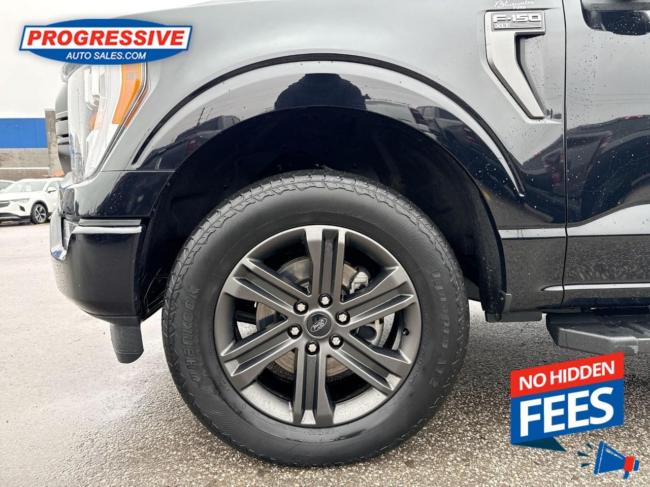 2021 Ford F-150 XLT Photo