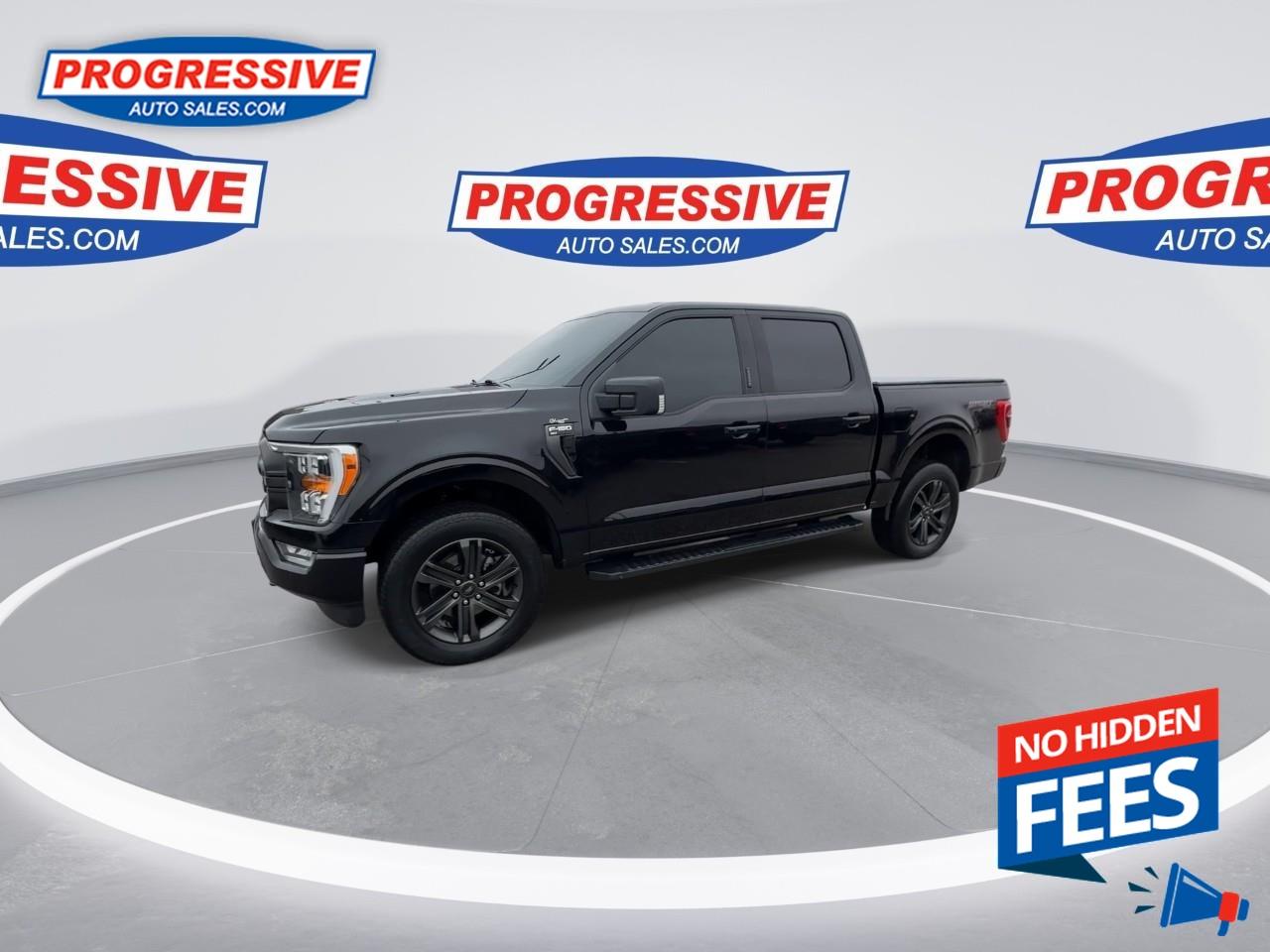 2021 Ford F-150 XLT Photo4