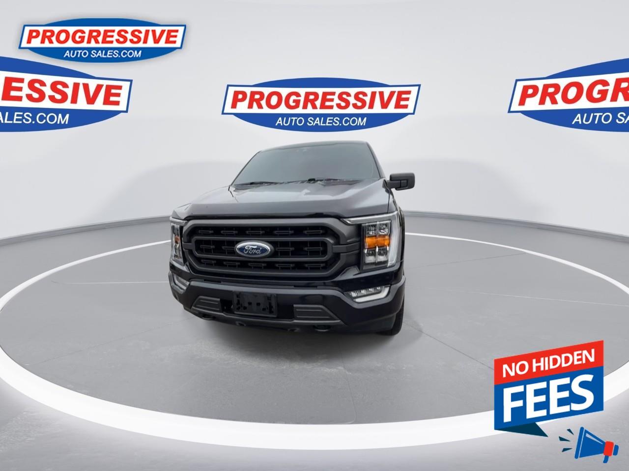 2021 Ford F-150 XLT Photo