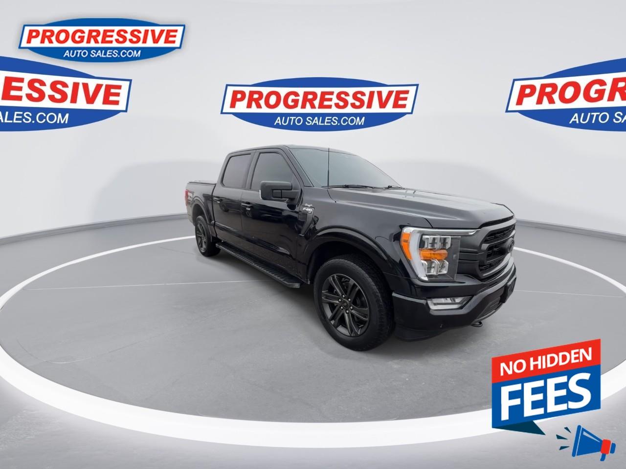2021 Ford F-150 XLT Photo2