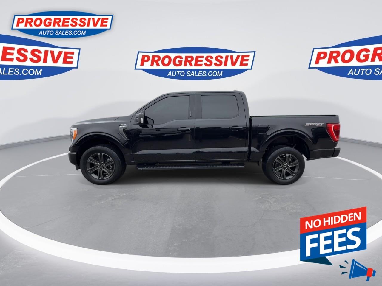 2021 Ford F-150 XLT Photo