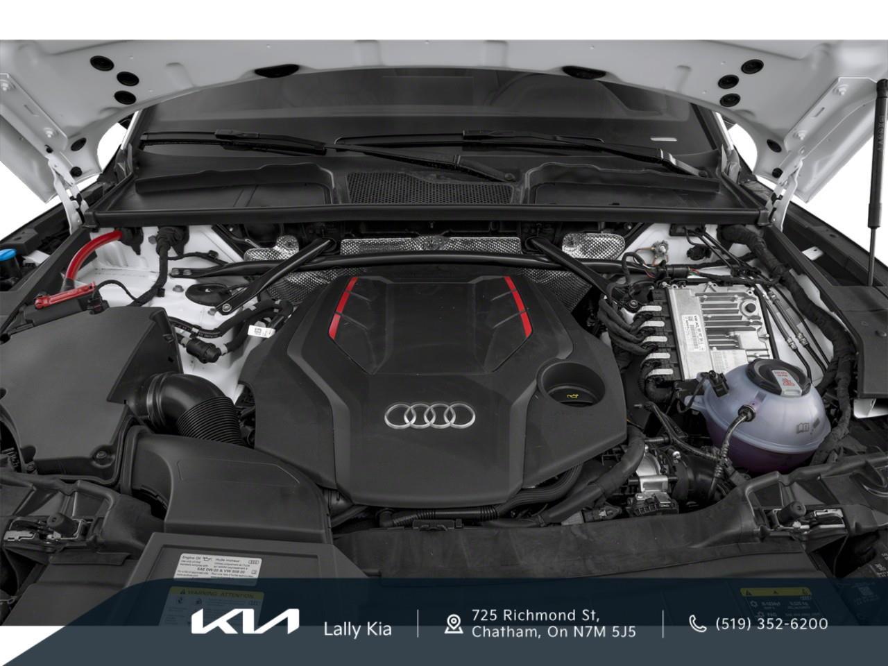 2025 Audi SQ5 3.0T Technik New Arrival | Low KMs | Clean CarFax | Leather | Roof | Nav Photo