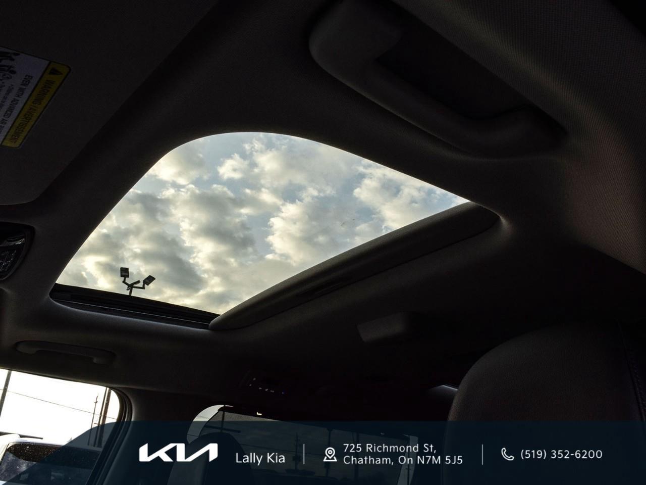 2025 Kia Carnival SX+ New Arrival | Clean CarFax | 7 Pass Seating | Leather Photo