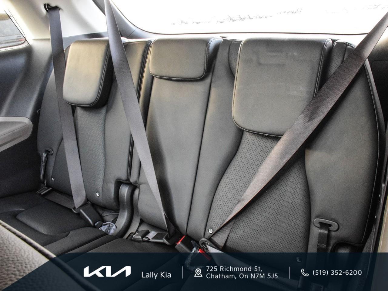2025 Kia Carnival SX+ New Arrival | Clean CarFax | 7 Pass Seating | Leather Photo