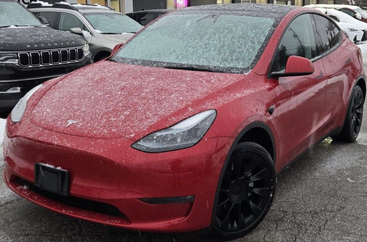2023 Tesla Model Y LONG RANGE / DUAL MOTOR / NAV / AWD / LEATHER - Photo #1