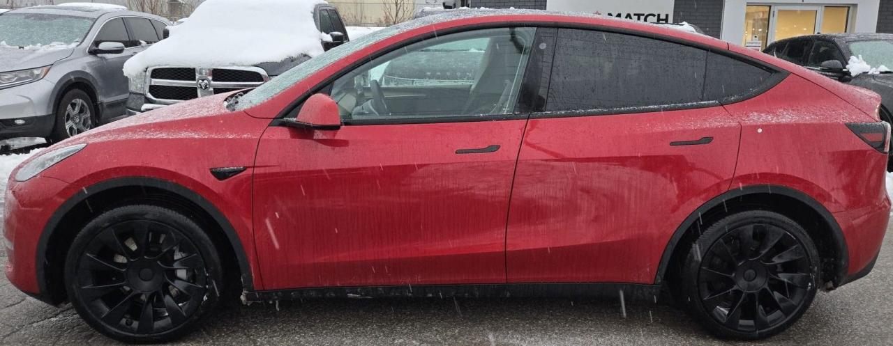 2023 Tesla Model Y LONG RANGE / DUAL MOTOR / NAV / AWD / LEATHER Photo
