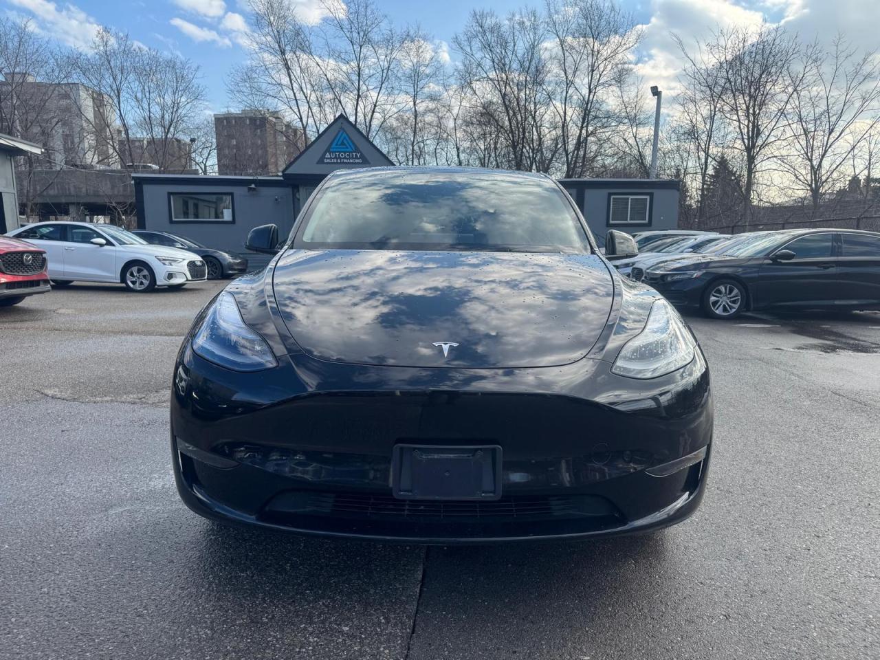 2025 Tesla Model Y Long Range AWD | NO ACCIDENTS | CLEAN TITLE Photo