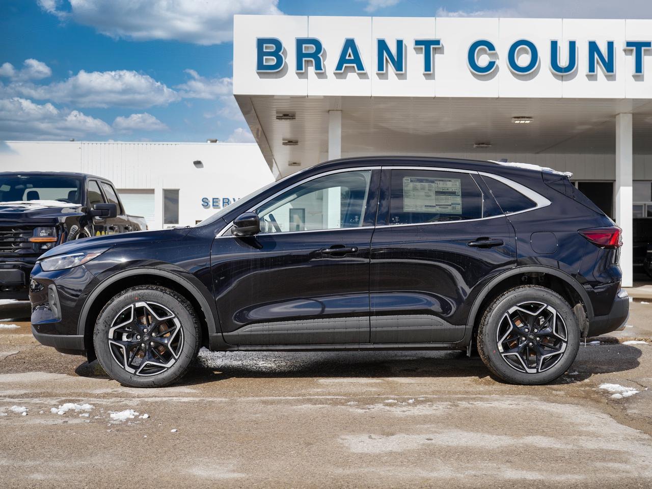 2026 Ford Escape Platinum Photo3