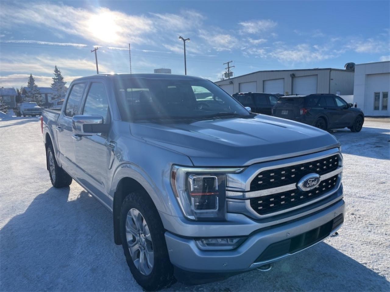 2021 Ford F-150  Photo2