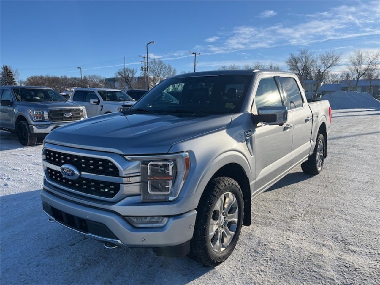 2021 Ford F-150 Platinum  - Leather Seats -  Cooled Seats Photo4