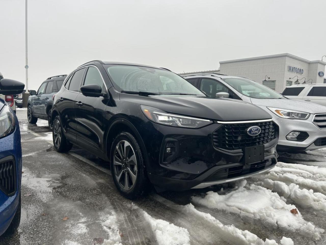 Used 2024 Ford Escape Platinum AWD for sale in Watford, ON