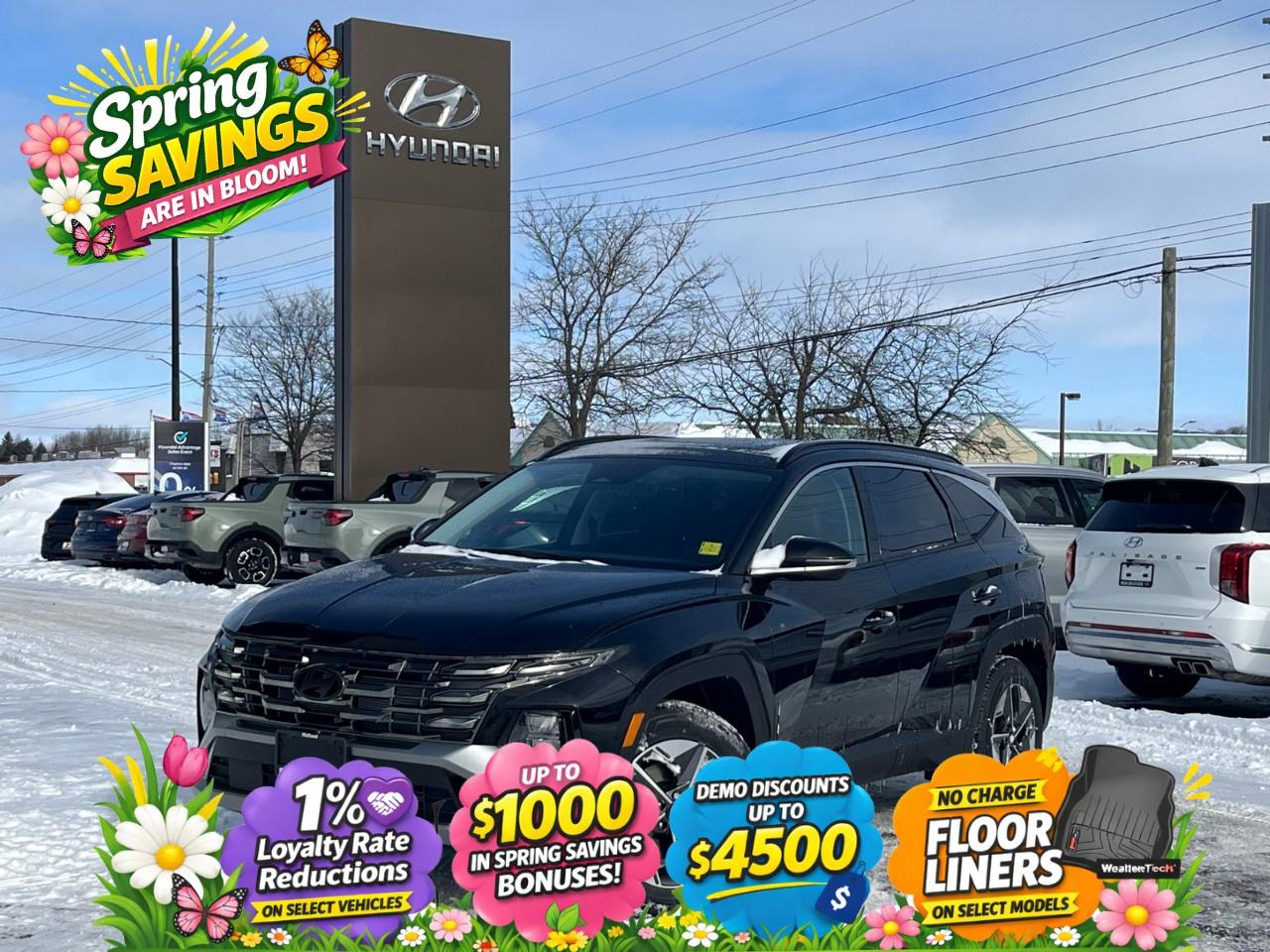 2026 Hyundai Tucson Preferred AWD w/Trend Pkg [TUCWDK2EPMTM] Photo0