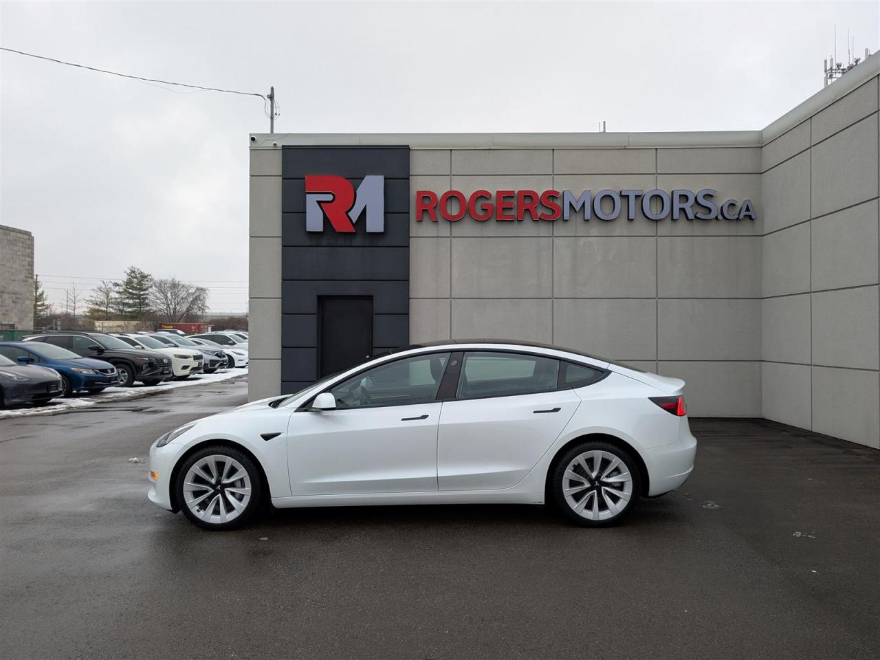 2022 Tesla Model 3 STANDARD Photo