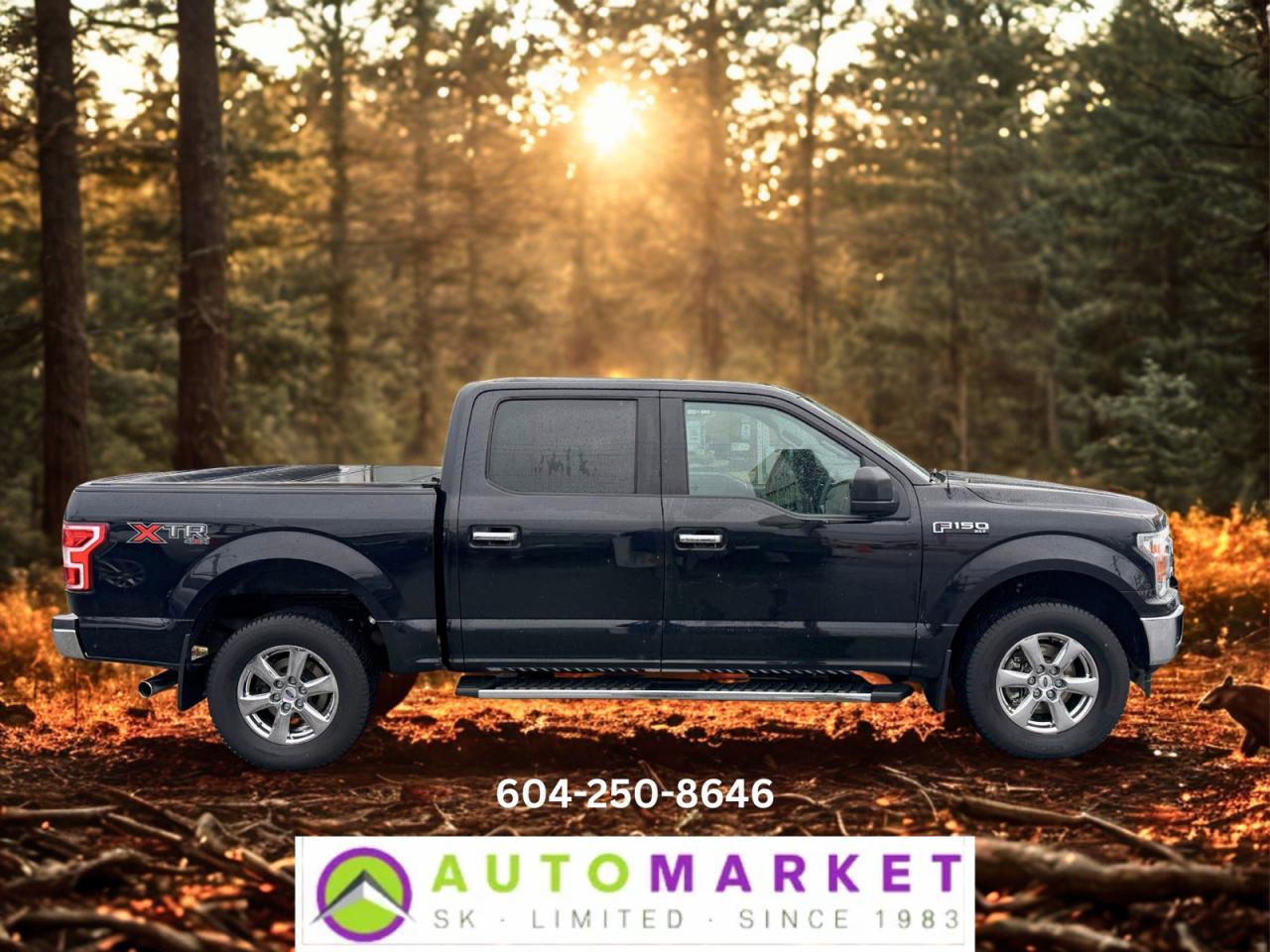 CALL OR TEXT KARL @ 6-0-4-2-5-0-8-6-4-6 FOR INFO & TO CONFIRM WHICH LOCATION.<br /><br />VERY NICE FORD F-150 XLT WITH THE XTR PACKAGE AS WELL. IT COMES WITH THE FUEL EFFICIENT AND RELIABLE 2.7L V6 ENGINE. IT HAS BRAND NEW BRAKES FRONT AND REAR! TIRES ARE 80% ON THE FRONT AND 70% ON THE REAR. EVERYTHING ELSE CHECKED OUT VERY WELL. IT'S READY TO GO!<br /><br />2 LOCATIONS TO SERVE YOU, BE SURE TO CALL FIRST TO CONFIRM WHERE THE VEHICLE IS.<br /><br />We are a family owned and operated business for 40 years. Since 1983 we have been committed to offering outstanding vehicles backed by exceptional customer service, now and in the future. Whatever your specific needs may be, we will custom tailor your purchase exactly how you want or need it to be. All you have to do is give us a call and we will happily walk you through all the steps with no stress and no pressure.<br /><br />&nbsp; &nbsp; &nbsp; &nbsp; &nbsp; &nbsp; &nbsp; &nbsp; &nbsp; &nbsp; &nbsp; &nbsp; &nbsp; &nbsp; &nbsp; &nbsp; &nbsp; &nbsp; &nbsp; &nbsp; &nbsp; &nbsp; WE ARE THE HOUSE OF YES!<br /><br />ADDITIONAL BENEFITS WHEN BUYING FROM SK AUTOMARKET:<br /><br />-ON SITE FINANCING THROUGH OUR 17 AFFILIATED BANKS AND VEHICLE&nbsp; &nbsp; &nbsp; &nbsp; &nbsp; &nbsp; &nbsp; &nbsp; &nbsp; &nbsp; &nbsp; &nbsp; &nbsp; &nbsp; &nbsp; &nbsp; &nbsp; &nbsp; &nbsp; &nbsp; &nbsp; &nbsp; &nbsp; &nbsp; &nbsp; &nbsp;FINANCE COMPANIES.<br />-IN HOUSE LEASE TO OWN PROGRAM.<br />-EVERY VEHICLE HAS UNDERGONE A 120 POINT COMPREHENSIVE INSPECTION.<br />-EVERY PURCHASE INCLUDES A FREE POWERTRAIN WARRANTY.<br />-EVERY VEHICLE INCLUDES A CARFAX AND ICBC DAMAGE REPORT.<br />-EVERY VEHICLE IS GUARANTEED LIEN FREE.<br />-DISCOUNTED RATES ON PARTS AND SERVICE FOR YOUR NEW CAR AND ANY OTHER&nbsp; &nbsp;FAMILY CARS THAT NEED WORK NOW AND IN THE FUTURE.<br />-40 YEARS IN THE VEHICLE SALES INDUSTRY.<br />-A+++ MEMBER OF THE BETTER BUSINESS BUREAU.<br />-RATED&nbsp;TOP DEALER BY CARGURUS 8 YEARS IN A ROW<br />-MEMBER&nbsp;IN GOOD STANDING WITH THE VEHICLE SALES AUTHORITY OF BRITISH&nbsp; &nbsp;COLUMBIA.<br />-MEMBER OF THE AUTOMOTIVE RETAILERS ASSOCIATION.<br />-COMMITTED CONTRIBUTOR TO OUR LOCAL COMMUNITY AND THE RESIDENTS OF BC.<br /> This vehicle has been Fully Inspected, Certified and Qualifies for Our Free Extended Warranty.Don't forget to ask about our Great Finance and Lease Rates. We also have a Options for Buy Here Pay Here and Lease to Own for Good Customers in Bad Situations. 2 locations to help you, White Rock and Langley. Be sure to call before you come to confirm the vehicles location and availability or look us up at www.automarketsales.com. White Rock 604-542-4970 and Langley 604-533-1310. Serving Surrey, Delta, Langley, Richmond, Vancouver, all of BC and western Canada. Financing & leasing available. CALL SK AUTOMARKET LTD. 6045424970. Call us toll-free at 1 877 813-6807. $999 Documentation fee (negotiable) and applicable taxes are in addition to advertised prices. LANGLEY LOCATION DEALER# 40038 S. SURREY LOCATION DEALER #9987