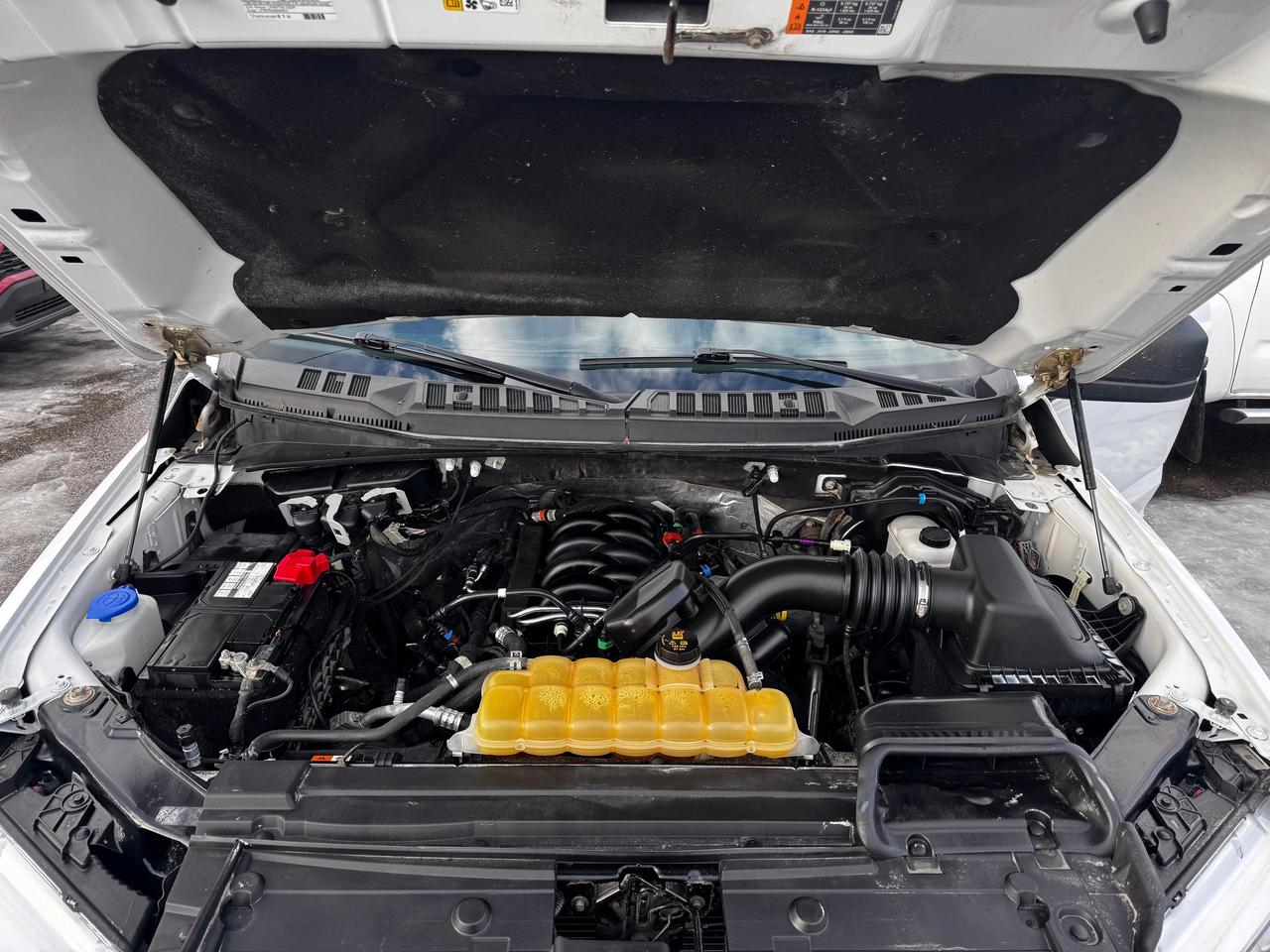 2020 Ford F-150 XLT Photo