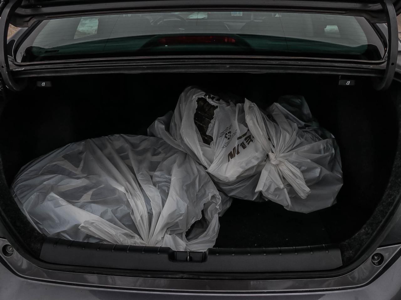 2019 Honda Civic Sedan EX CVT Photo