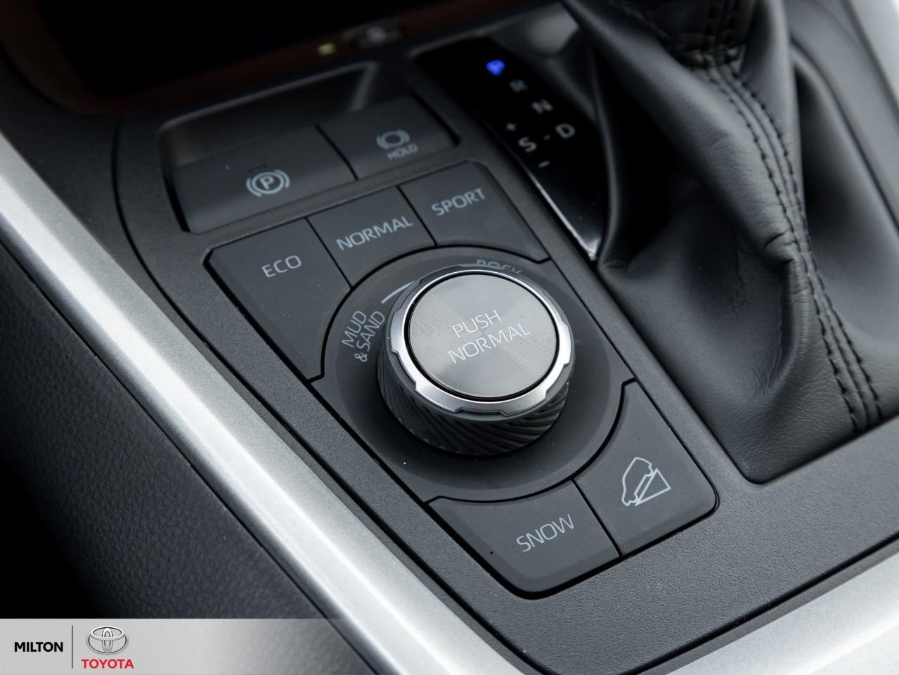 2025 Toyota RAV4 LEATHER MOONROOF JBL DEMO TCUV Limited Photo