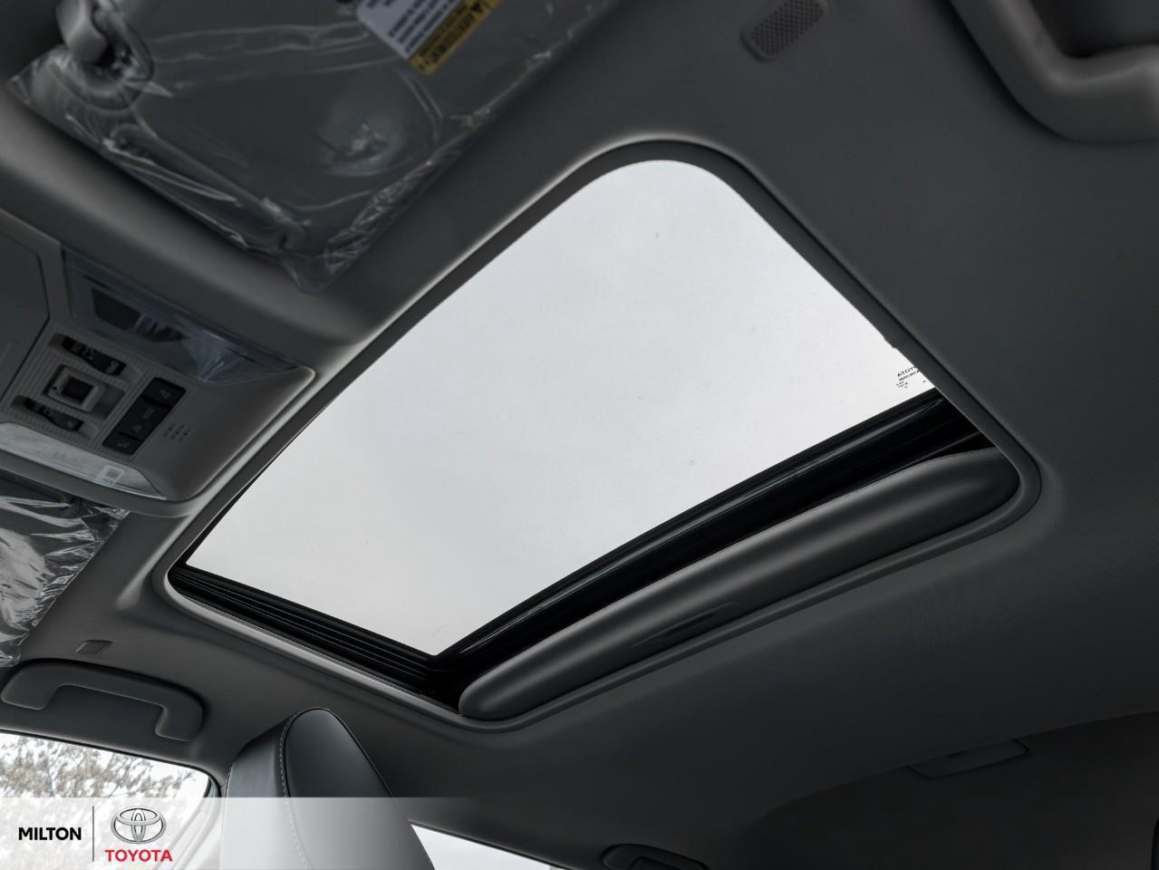 2025 Toyota RAV4 LEATHER MOONROOF JBL DEMO TCUV Limited Photo