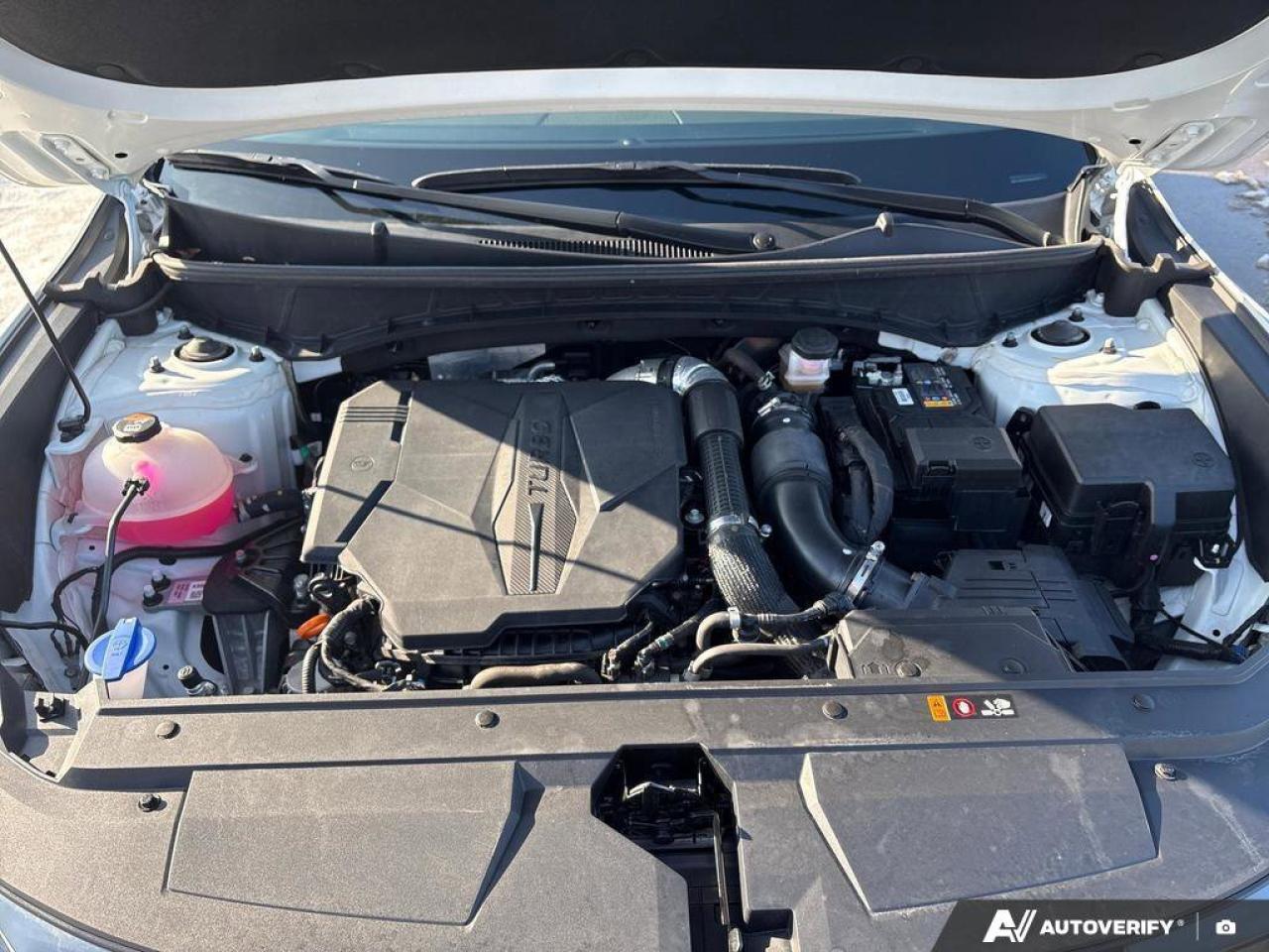 2024 Hyundai Santa Cruz Ultimate   CLEAN CARFAX   ONE OWNER   HEATED & VEN Photo