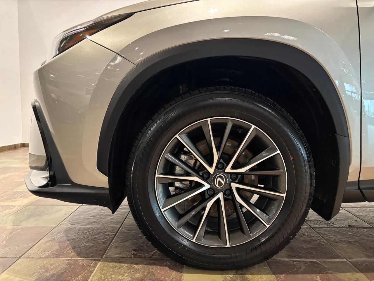 2025 Lexus NX 350h PREMIUM PACKAGE   LEXUS CERTIFIED PRE-OWNED   CARF Photo