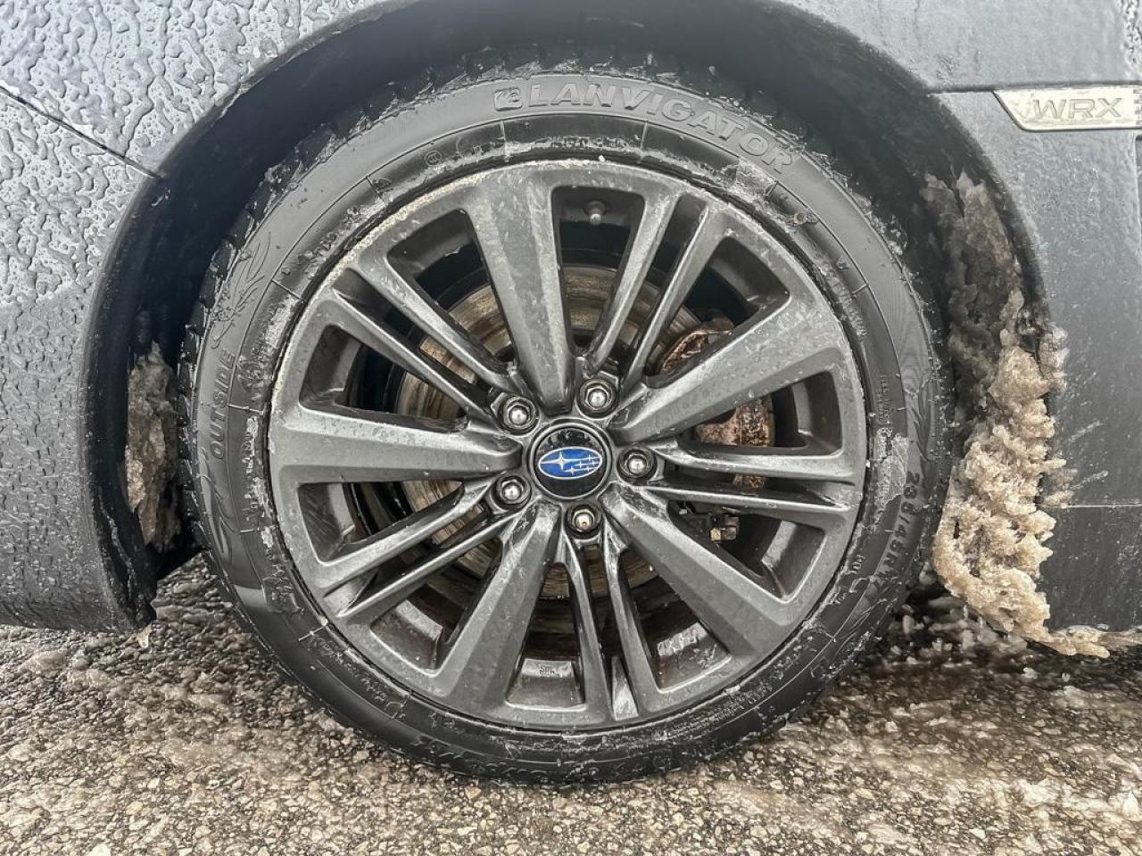 2016 Subaru WRX Base Photo