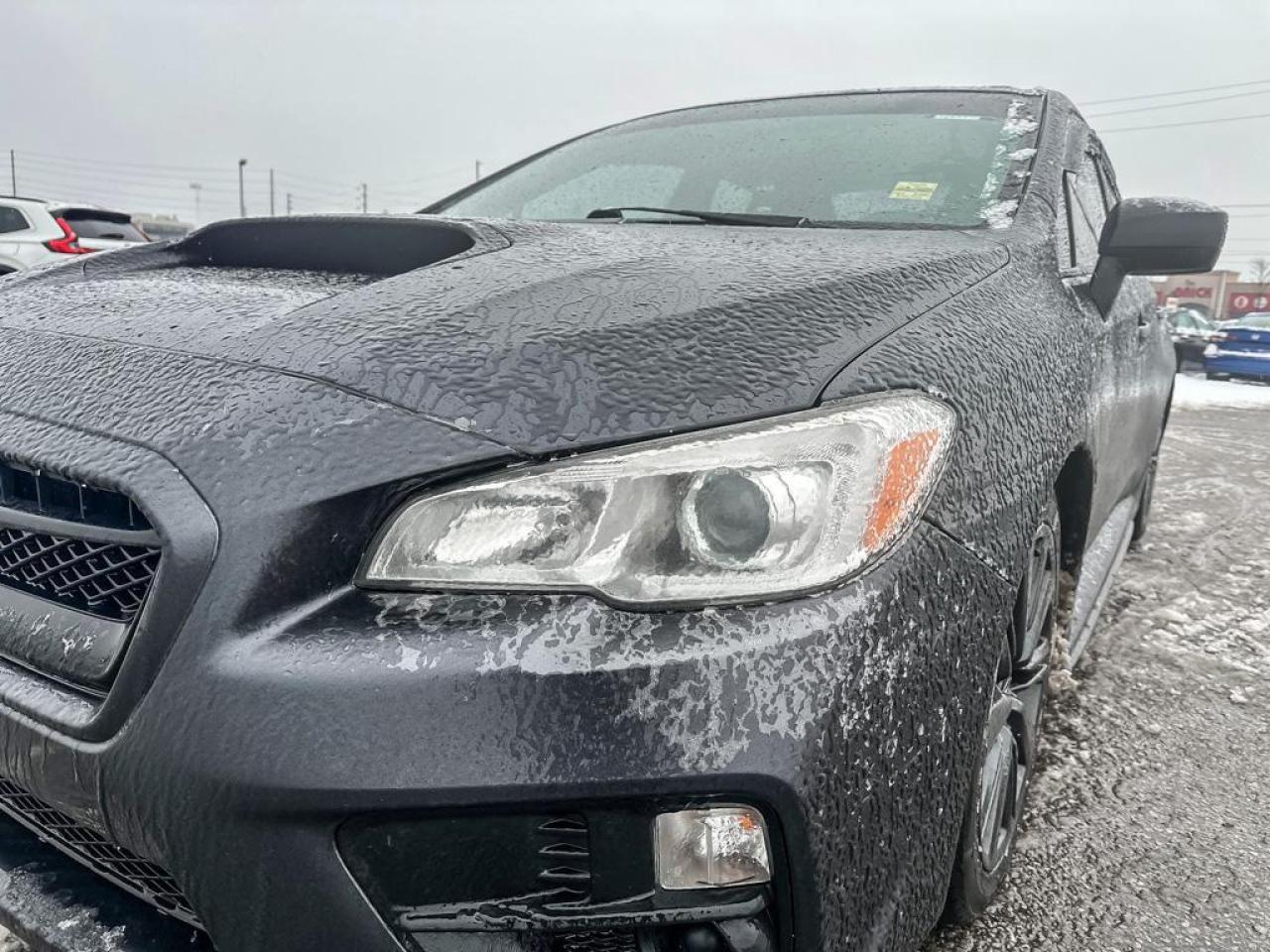2016 Subaru WRX Base Photo