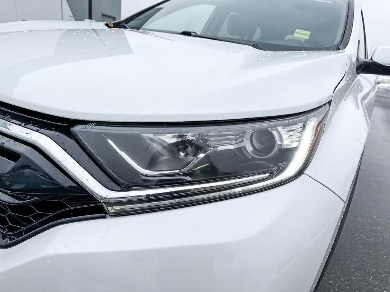 2021 Honda CR-V LX Photo