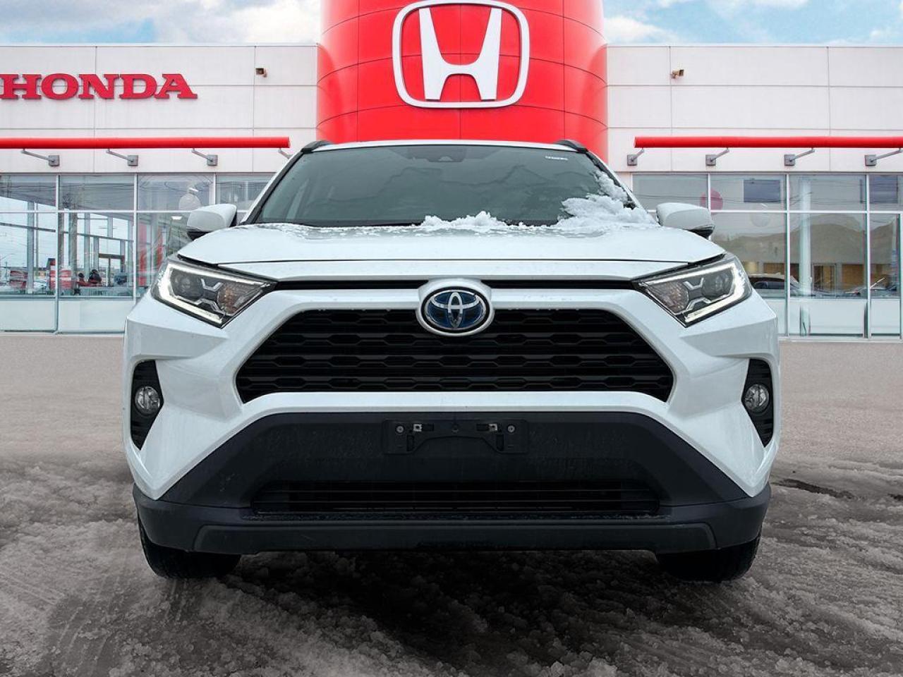 2021 Toyota RAV4 Hybrid XLE Photo