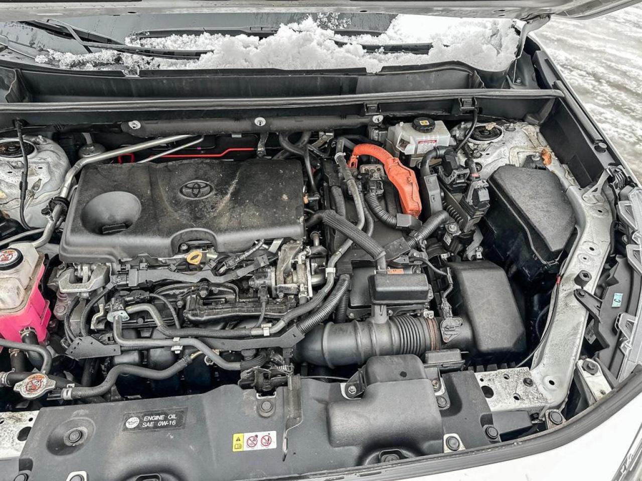 2021 Toyota RAV4 Hybrid XLE Photo